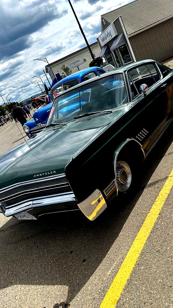 trappkittykhaos image ~ Altpins