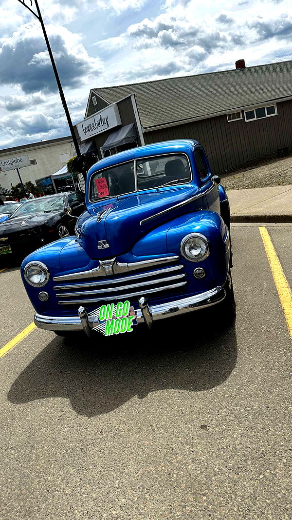 trappkittykhaos image ~ Altpins