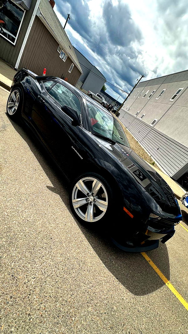 trappkittykhaos image ~ Altpins