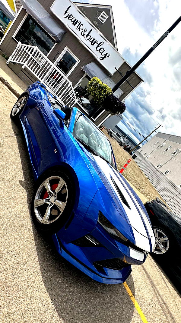 trappkittykhaos image ~ Altpins