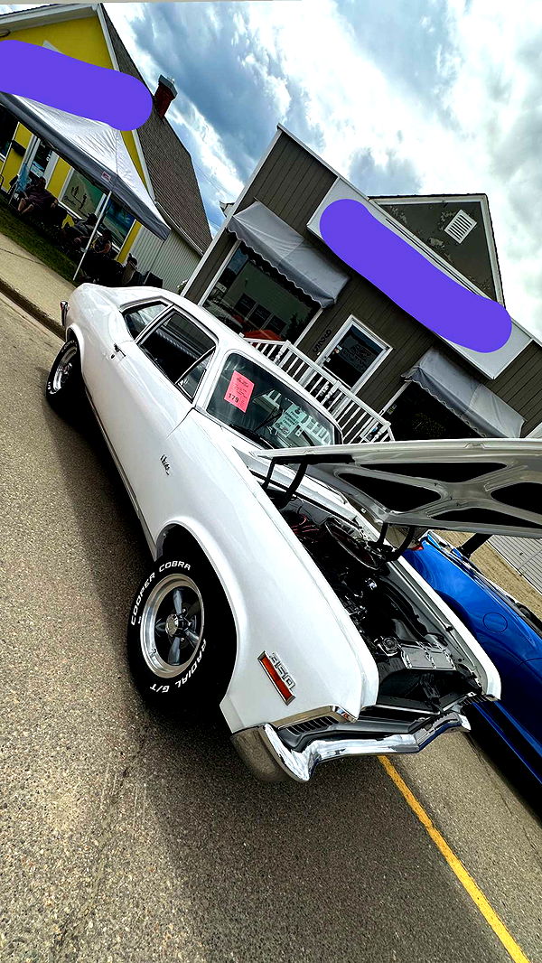 trappkittykhaos image ~ Altpins