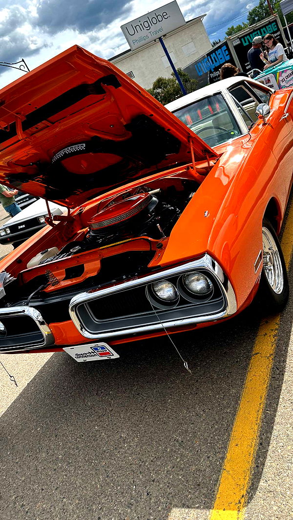 trappkittykhaos image ~ Altpins