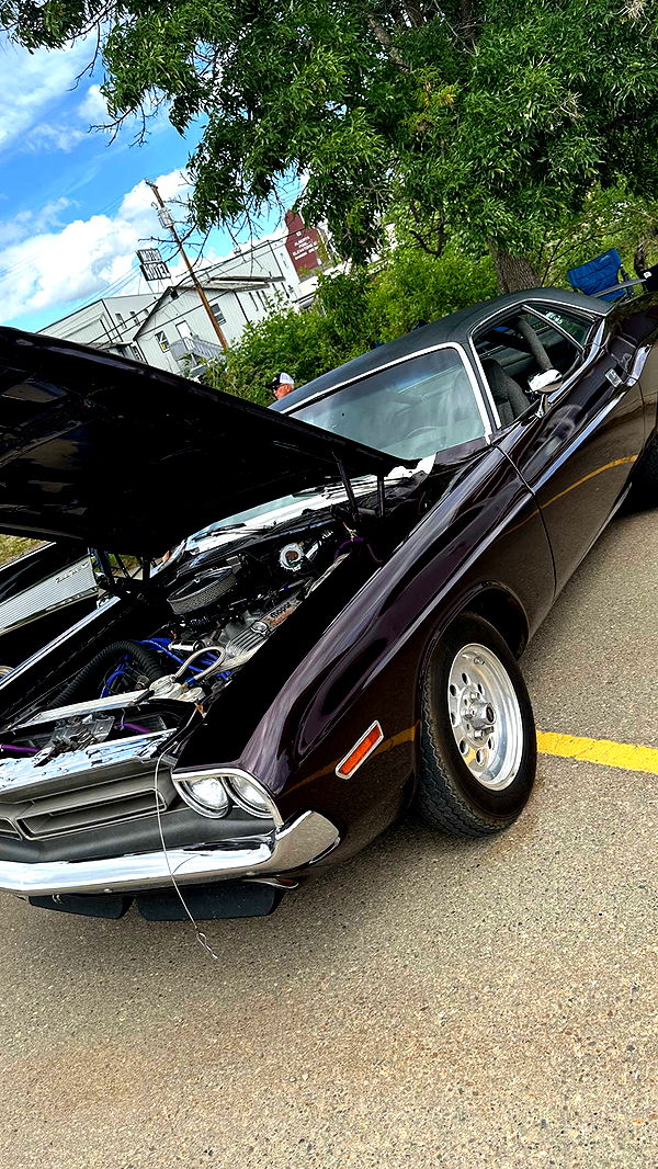 trappkittykhaos image ~ Altpins