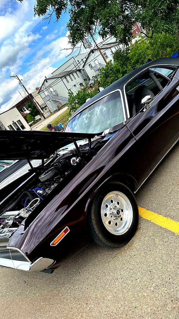 trappkittykhaos image ~ Altpins