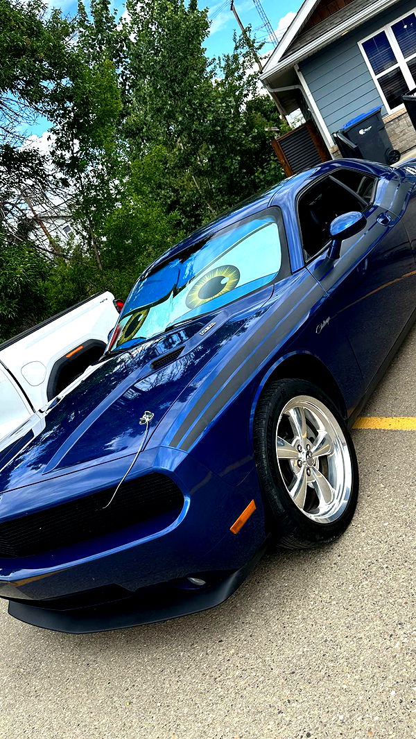 trappkittykhaos image ~ Altpins