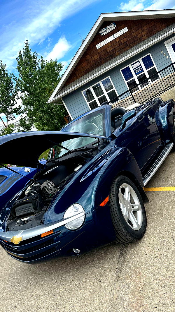 trappkittykhaos image ~ Altpins