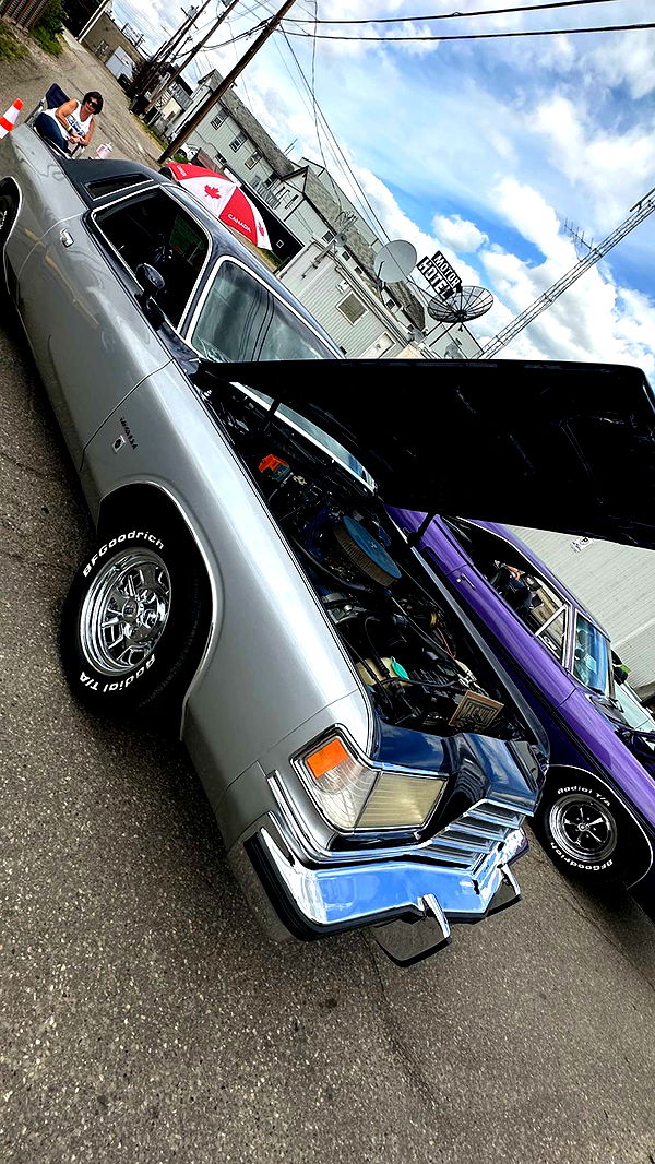 trappkittykhaos image ~ Altpins