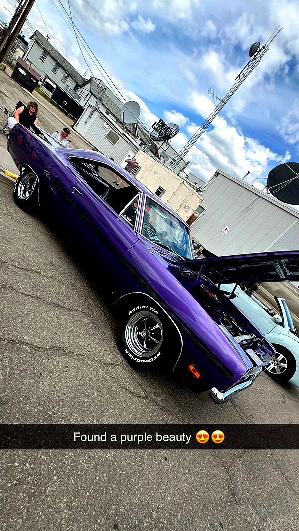 trappkittykhaos image ~ Altpins