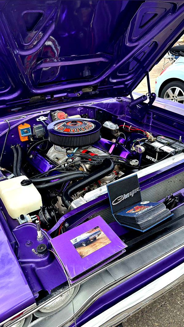 trappkittykhaos image ~ Altpins