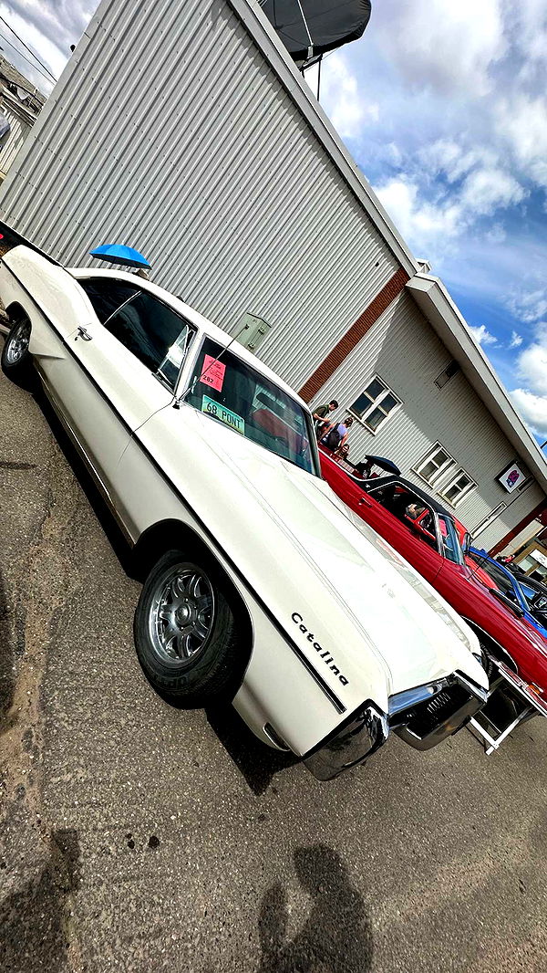 trappkittykhaos image ~ Altpins