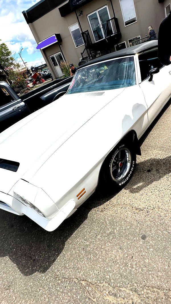 trappkittykhaos image ~ Altpins