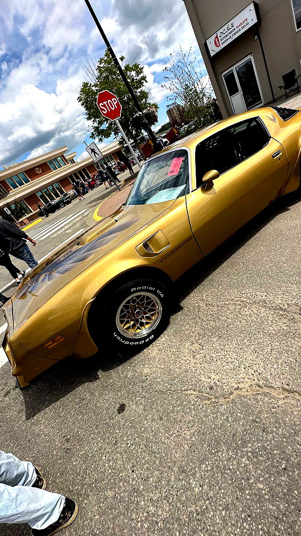 trappkittykhaos image ~ Altpins