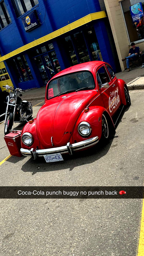 trappkittykhaos image ~ Altpins