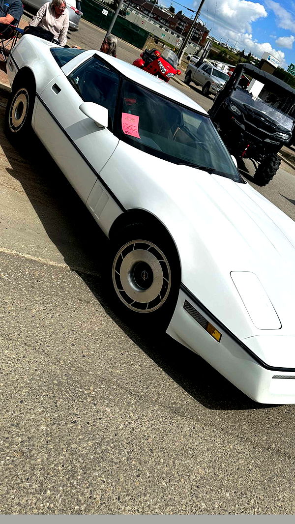 trappkittykhaos image ~ Altpins