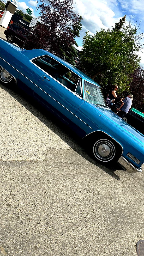 trappkittykhaos image ~ Altpins