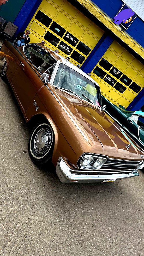 trappkittykhaos image ~ Altpins