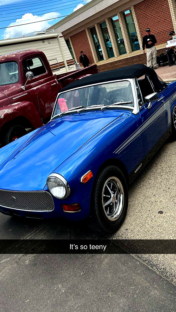 trappkittykhaos image ~ Altpins