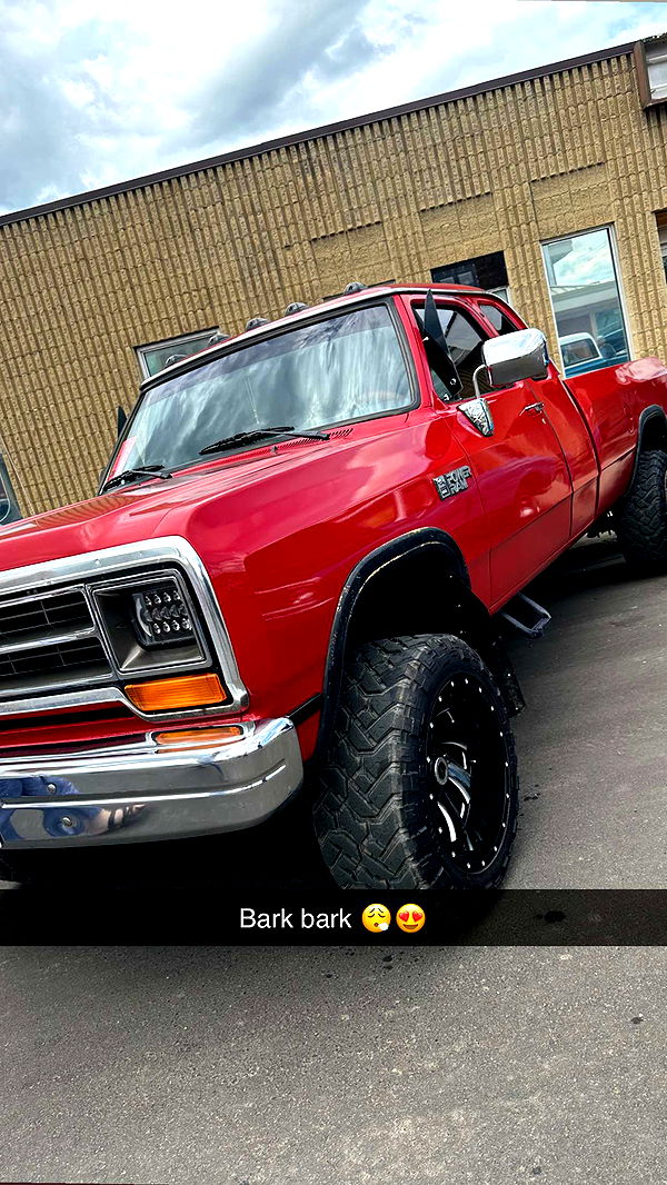 trappkittykhaos image ~ Altpins