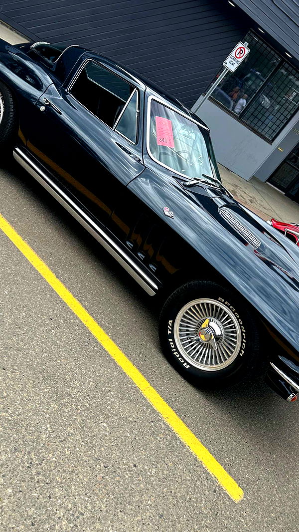 trappkittykhaos image ~ Altpins