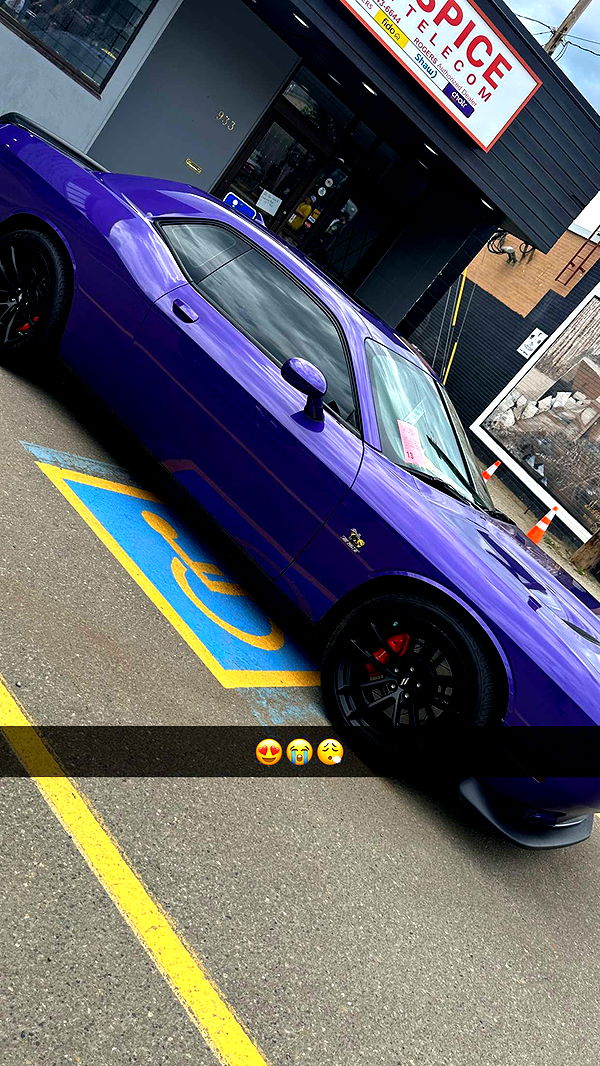 trappkittykhaos image ~ Altpins