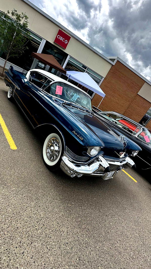 trappkittykhaos image ~ Altpins