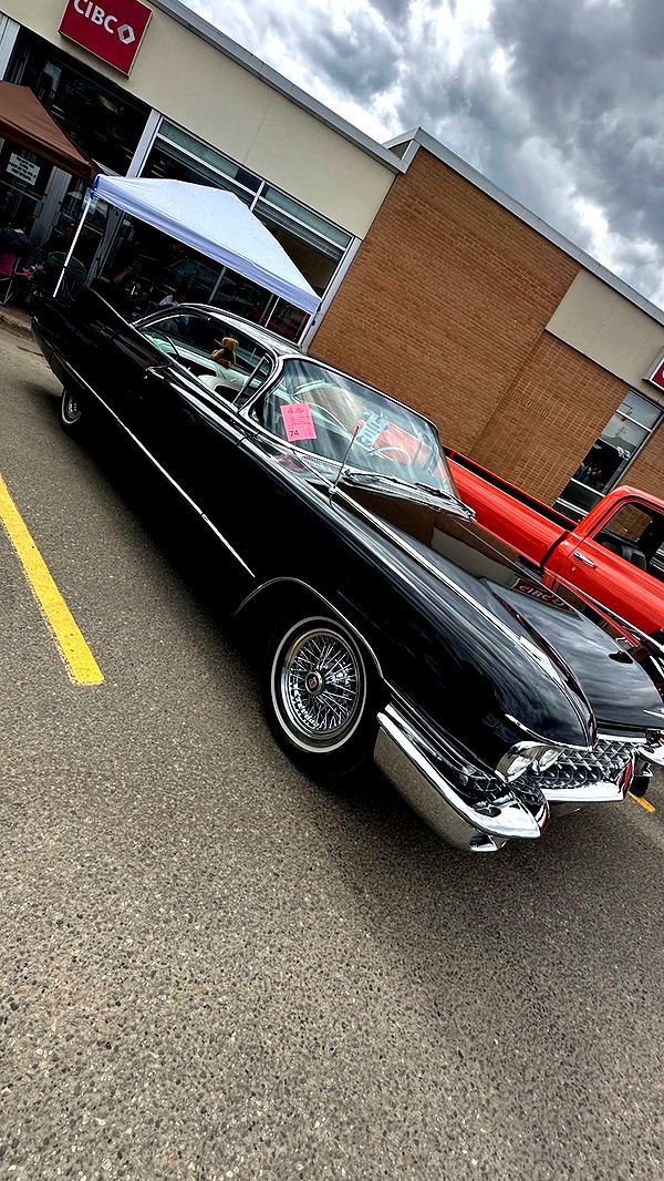 trappkittykhaos image ~ Altpins