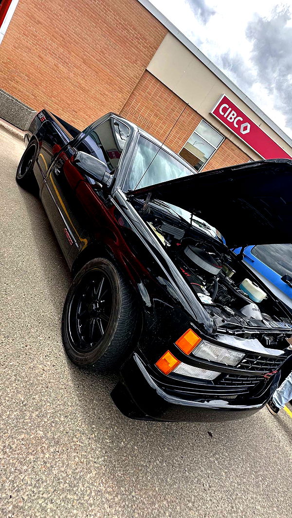 trappkittykhaos image ~ Altpins