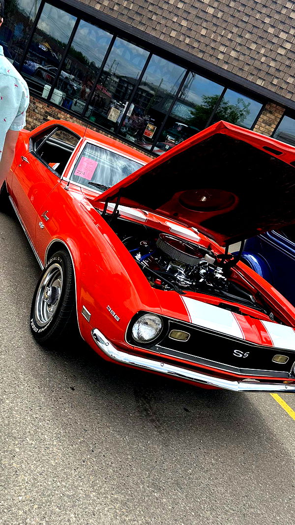 trappkittykhaos image ~ Altpins