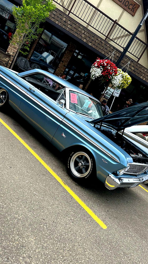 trappkittykhaos image ~ Altpins