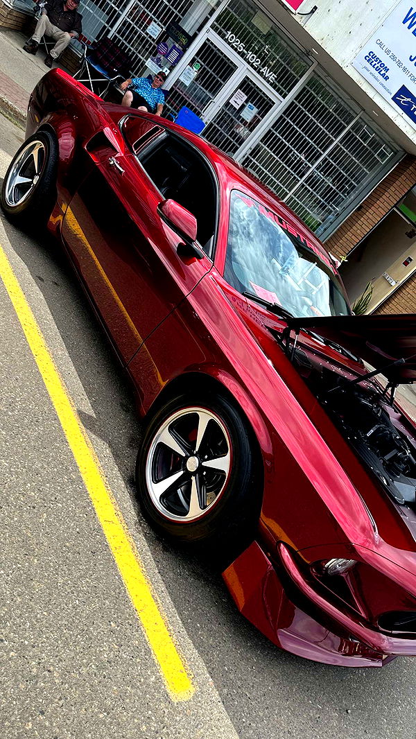 trappkittykhaos image ~ Altpins