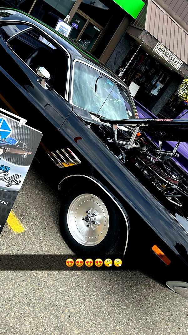 trappkittykhaos image ~ Altpins