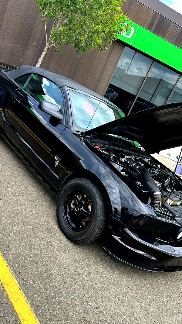 trappkittykhaos image ~ Altpins