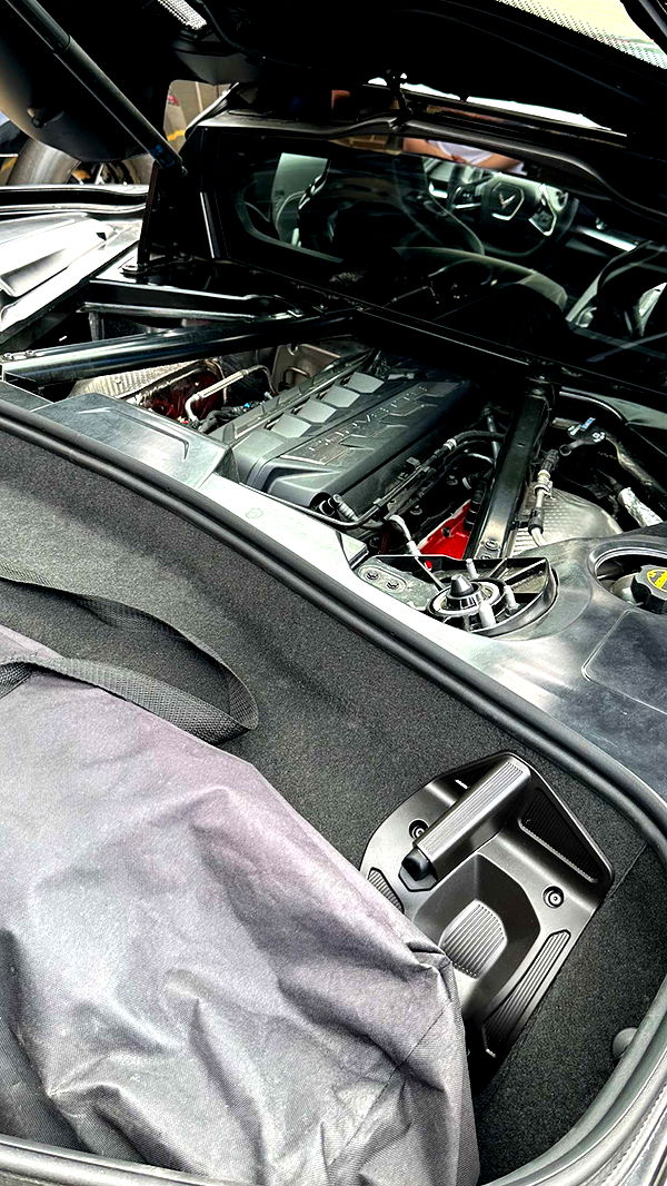 trappkittykhaos image ~ Altpins