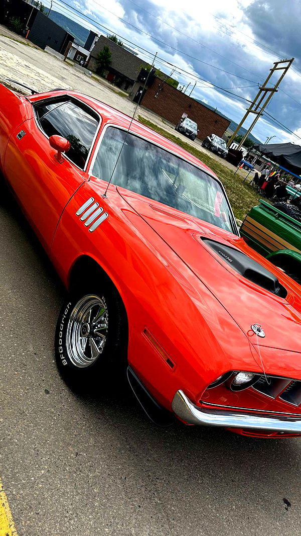 trappkittykhaos image ~ Altpins