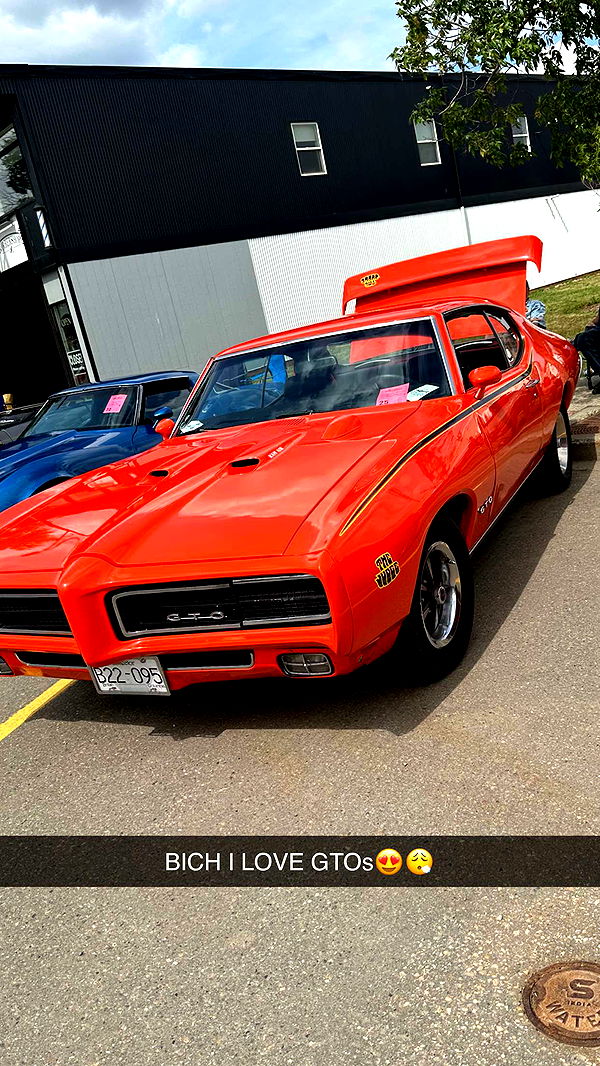 trappkittykhaos image ~ Altpins