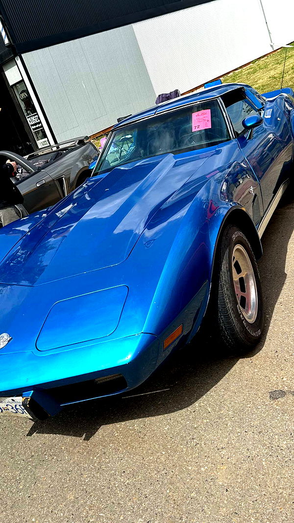 trappkittykhaos image ~ Altpins