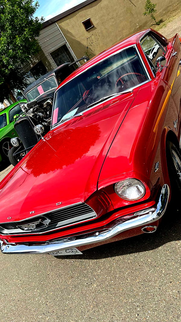 trappkittykhaos image ~ Altpins