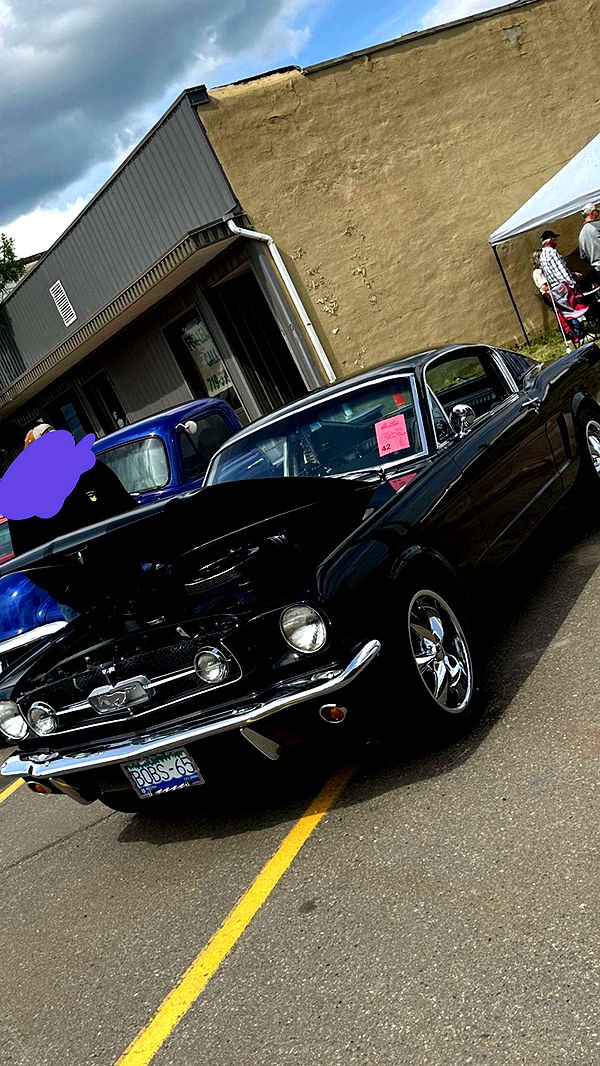 trappkittykhaos image ~ Altpins