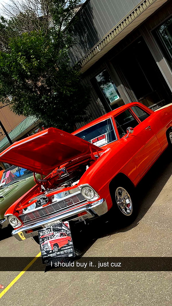 trappkittykhaos image ~ Altpins