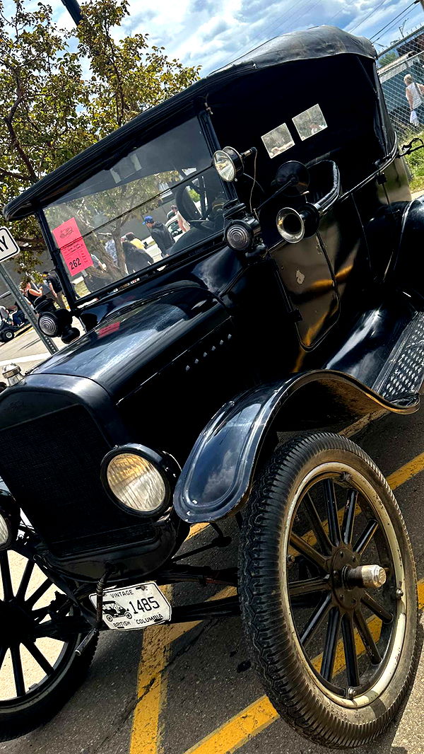 trappkittykhaos image ~ Altpins