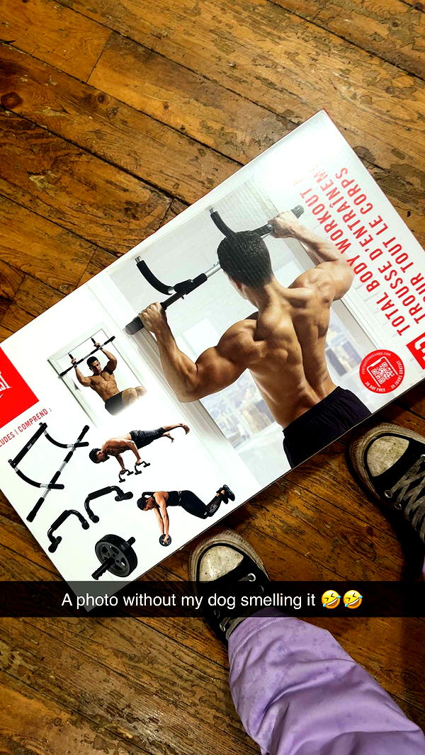 trappkittykhaos image ~ Altpins