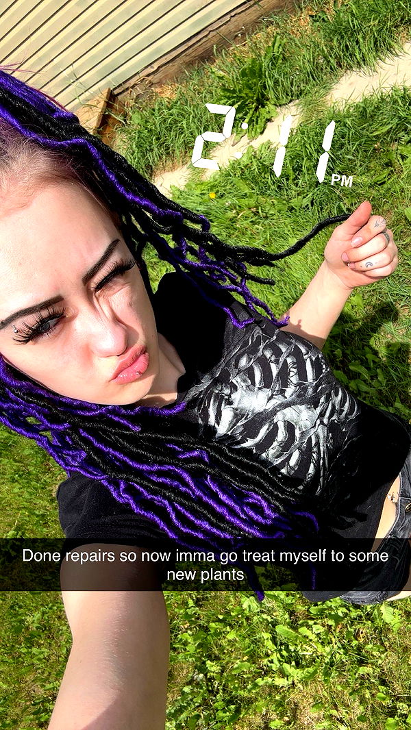 trappkittykhaos image ~ Altpins