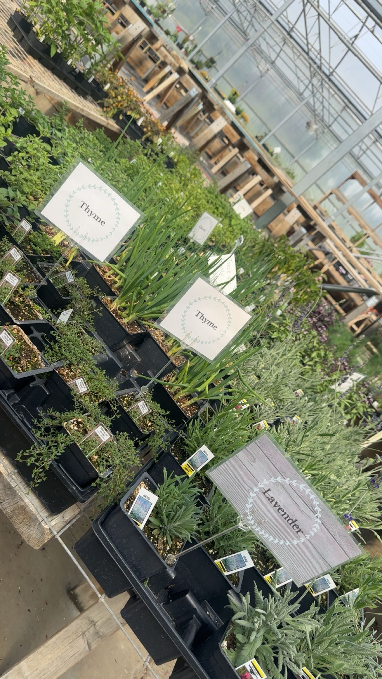 trappkittykhaos snapchat image archive image