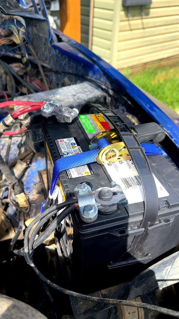 trappkittykhaos image ~ Altpins