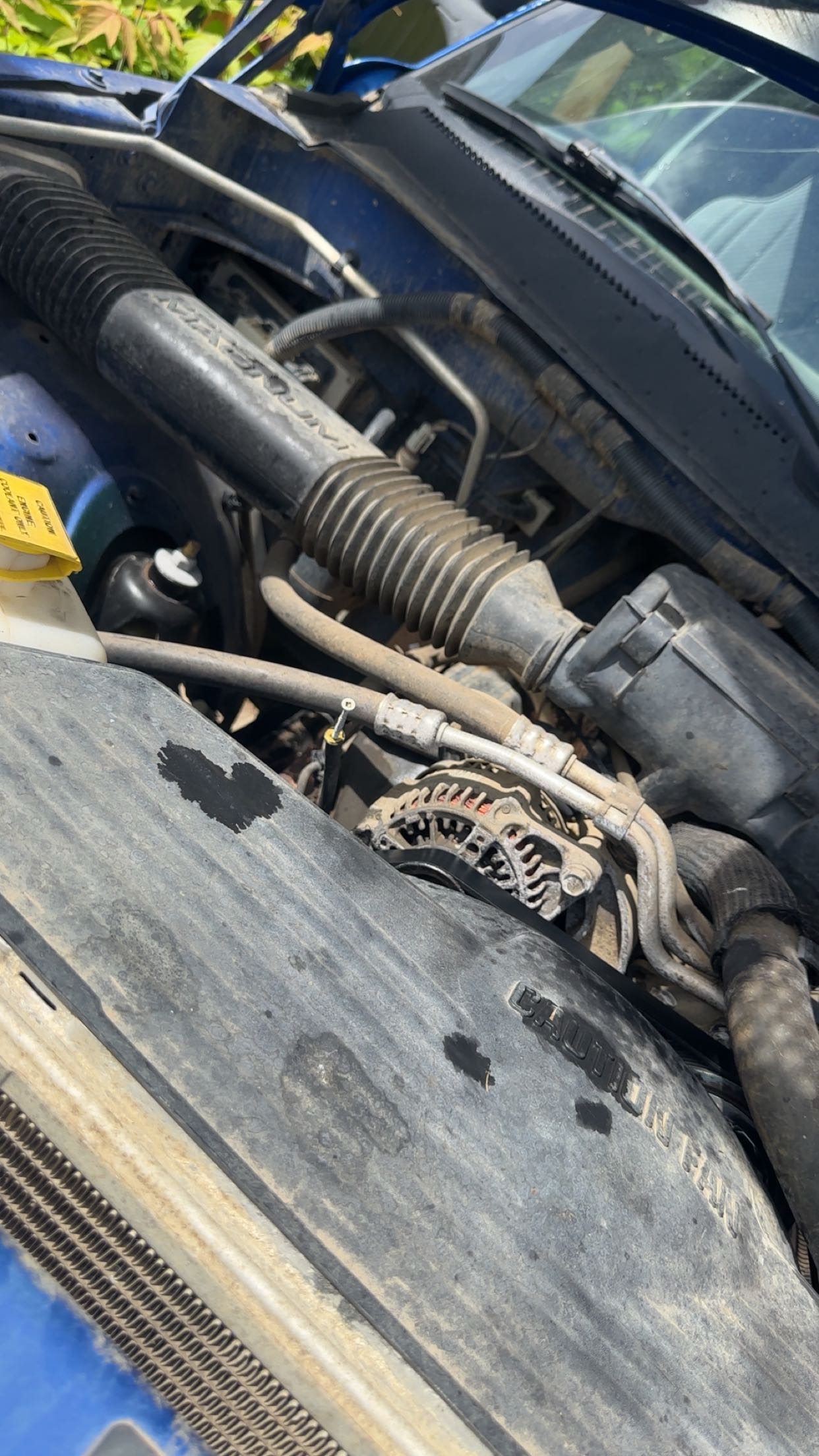 trappkittykhaos snapchat image archive image