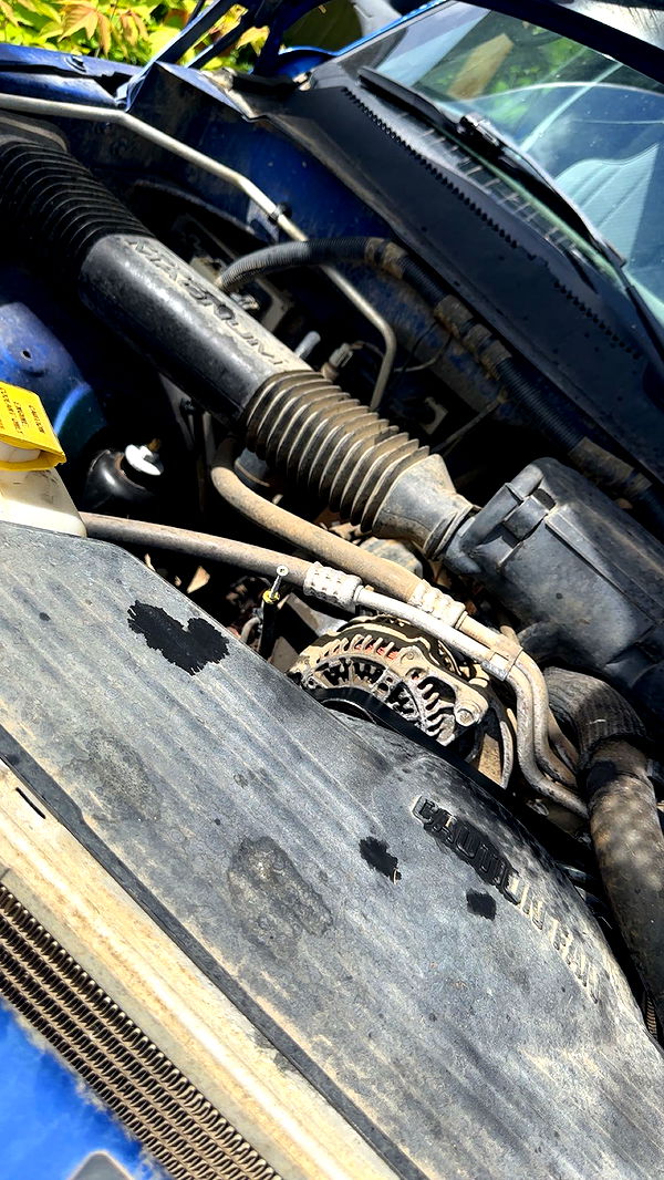 trappkittykhaos image ~ Altpins