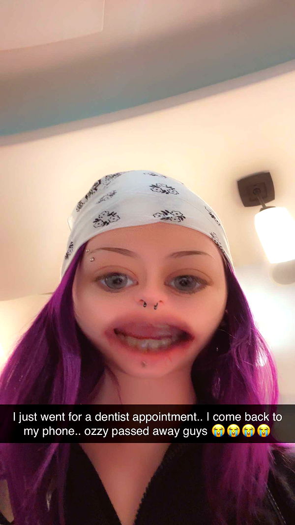 trappkittykhaos image ~ Altpins