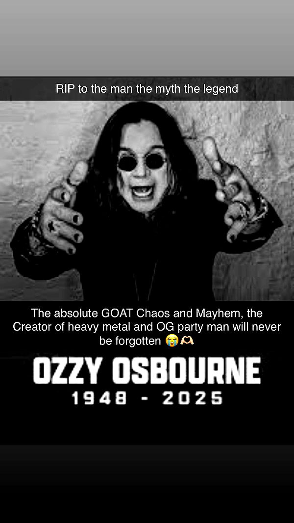 trappkittykhaos image ~ Altpins