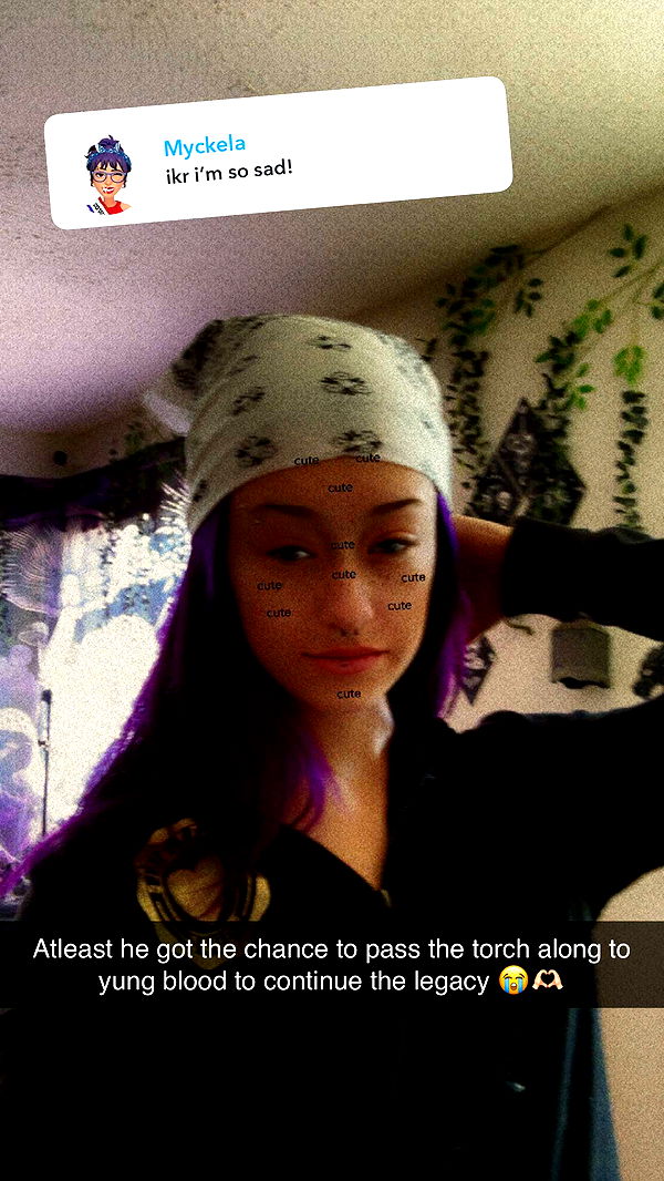 trappkittykhaos image ~ Altpins