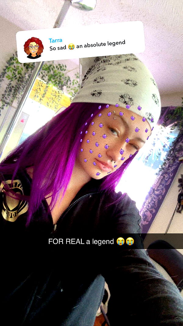 trappkittykhaos image ~ Altpins